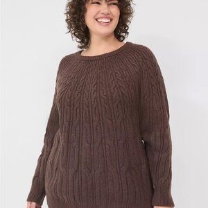 Lane Bryant Women's Brown Crew Neck Cable Knit Sweater